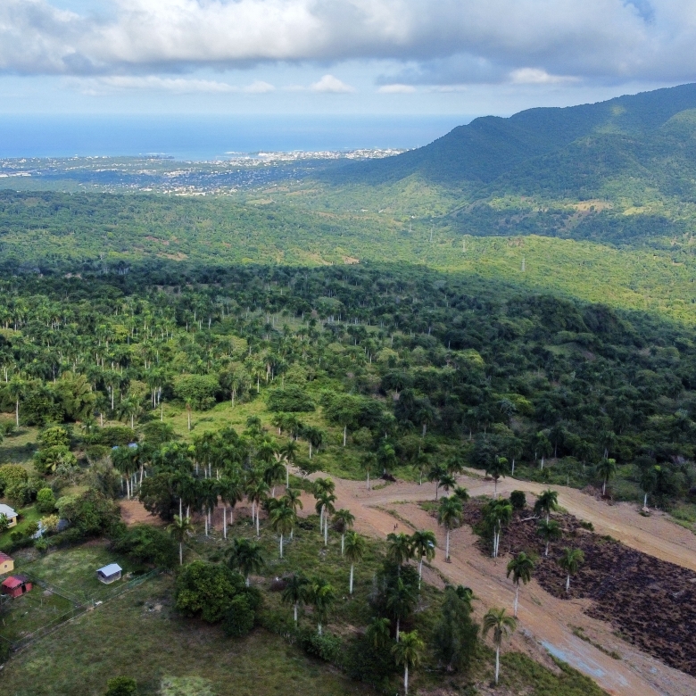 Solares en El Cupey, Puerto Plata: lotes para inversión y construcción de viviendas, rodeados de naturaleza y con acceso a infraestructura básica.