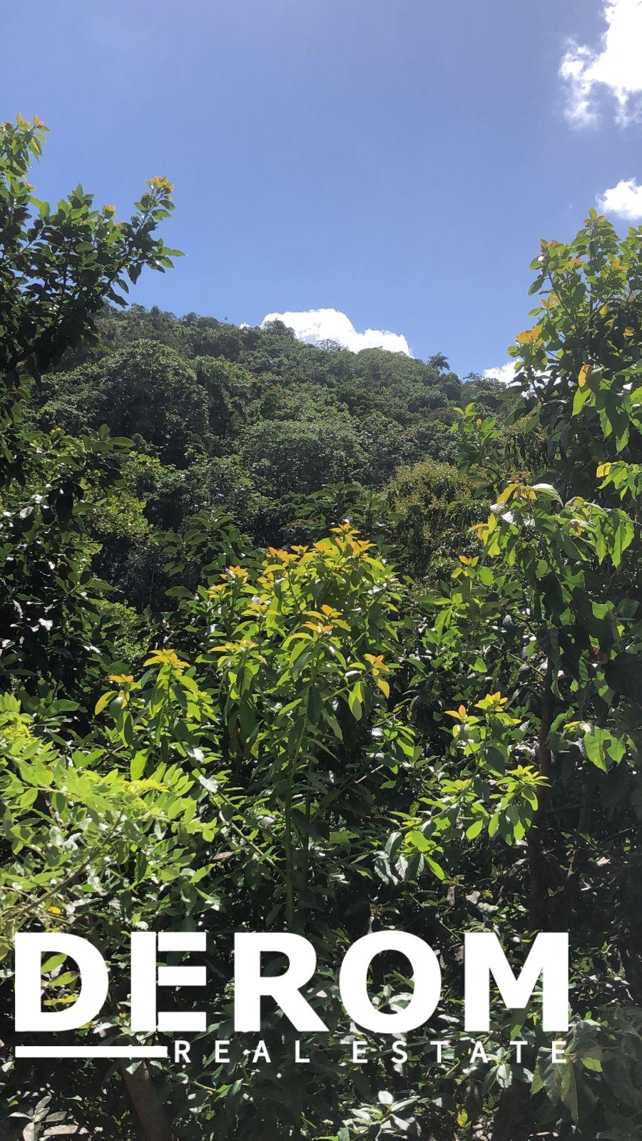 Finca en venta en Altamira Puerto Plata con cultivos y agua natural