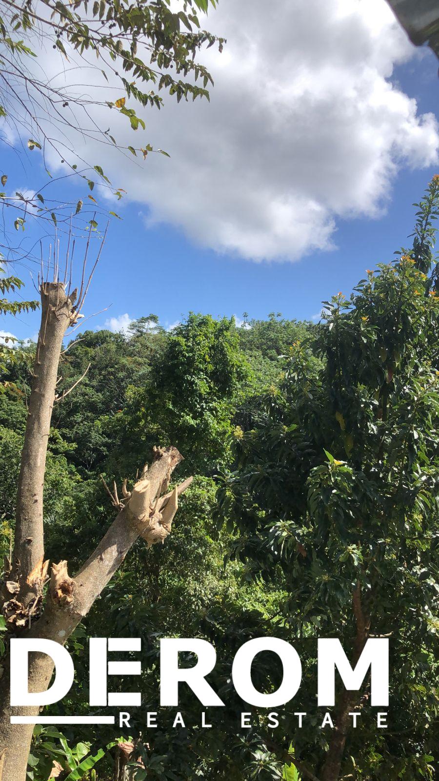 Finca en venta en Altamira Puerto Plata con cultivos y agua natural