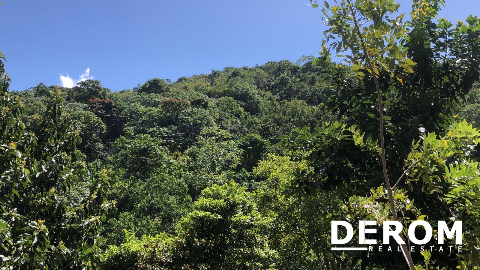 Finca en venta en Altamira Puerto Plata con cultivos y agua natural