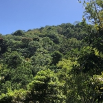 Finca en venta en Altamira Puerto Plata con cultivos y agua natural