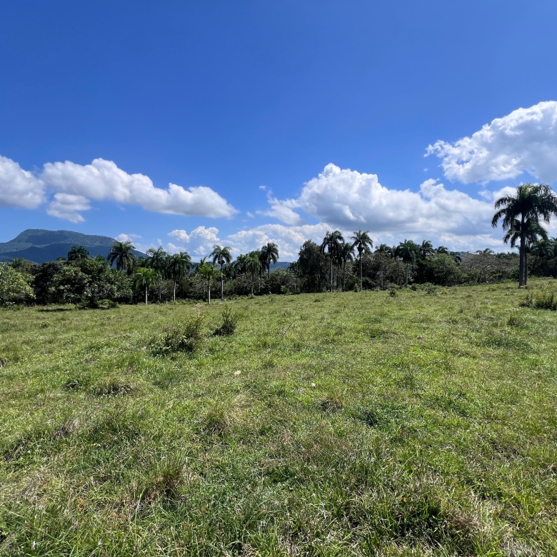 Terreno en venta en El Cupey Puerto Plata de 1,350 metros