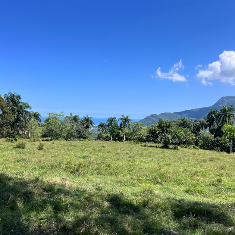 Terreno en venta en El Cupey Puerto Plata de 1,350 metros