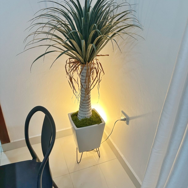 Apartamento en renta en Puerto Plata con balcón privado