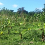 Terreno en venta en Los Tejada de Maimón