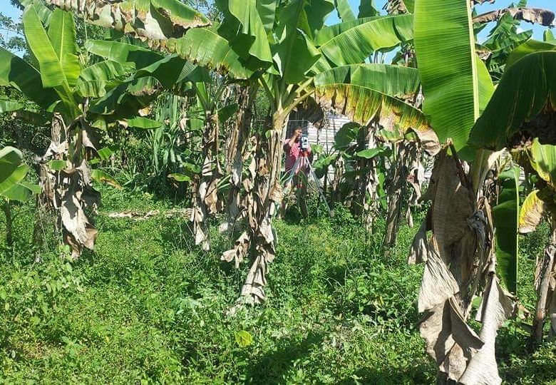Terreno en venta en Los Tejada de Maimón