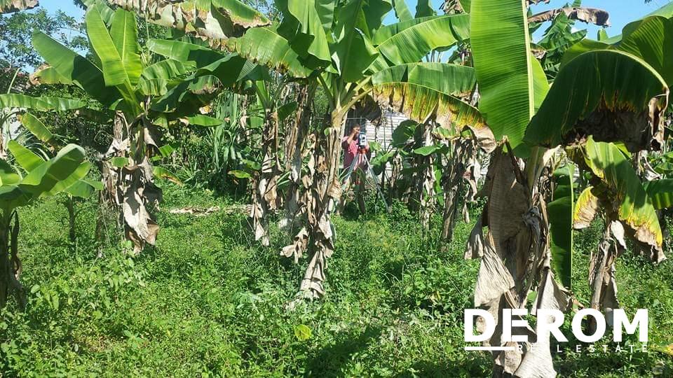 Terreno en venta en Los Tejada de Maimón