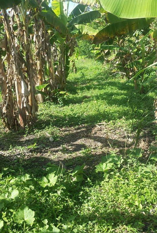 Terreno en venta en Los Tejada de Maimón