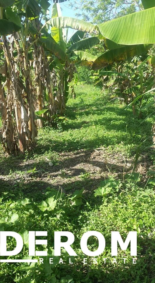 Terreno en venta en Los Tejada de Maimón